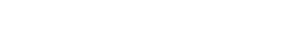 BrandVisionaries